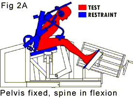 Pelvis Fixed And Spin In Flexion