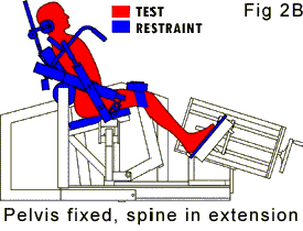 Pelvis Fixed And Spin In Extension